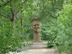 SAMSUNG CAMERA PICTURES