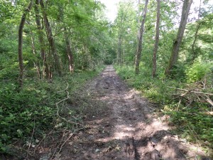 SAMSUNG CAMERA PICTURES