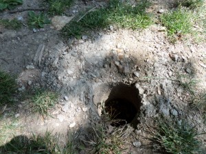 SAMSUNG CAMERA PICTURES