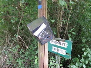 SAMSUNG CAMERA PICTURES