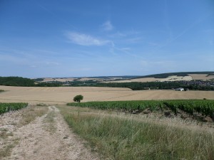 SAMSUNG CAMERA PICTURES