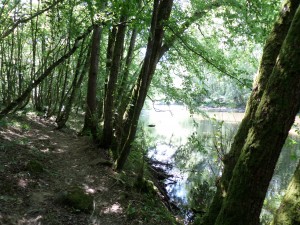 SAMSUNG CAMERA PICTURES