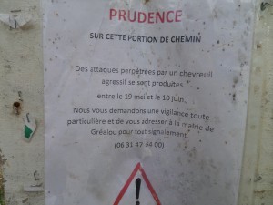 Ils sont fous ces chevreuils !! Encore un danger auquel j'ai échappé. J'étais prête à défendre chèrement mon sac à dos, les bâtons pointés à la Dartagnan, concentrée et à l'affût